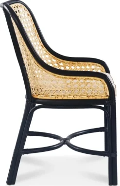 Anton matstol i rotting med dyna + Textilrengöring för möbler