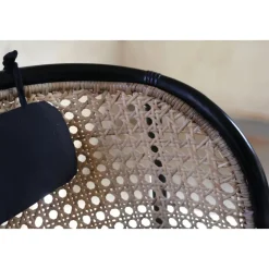 Anton svart fåtölj i rotting + Fläckborttagare för möbler