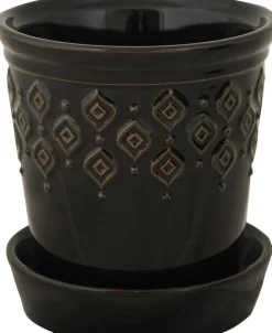 Blomkruka med svart svart