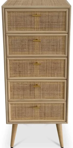 Byrå i rotting med 5 lådor - React + Textilrengöring för möbler