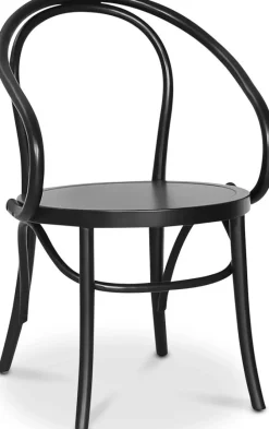 Danderyd No.30 svart karmstol i böjträ + Fläckborttagare för möbler