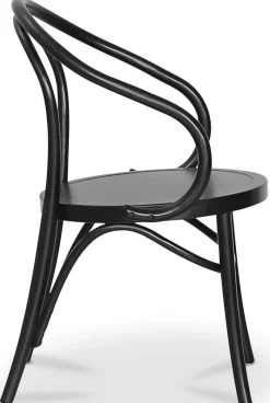 Danderyd No.30 svart karmstol i böjträ + Fläckborttagare för möbler