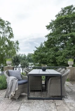 Denver matbord - Grå/svart - 220x100 cm + Fläckborttagare för möbler