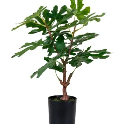 Fikonträd konstväxt - Grön