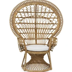 Fåtölj Påfågel i rotting + Fläckborttagare för möbler