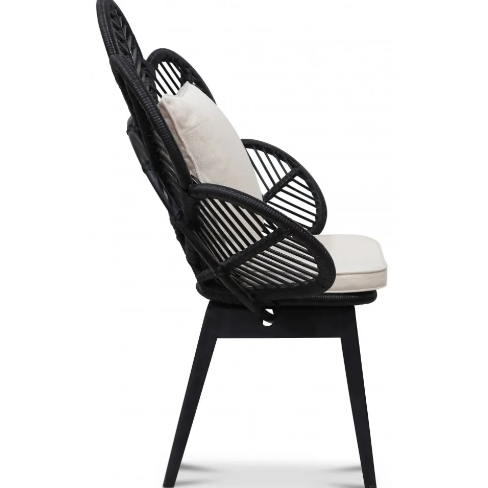 Fåtölj svart/rotting - Peacock + Fläckborttagare för möbler