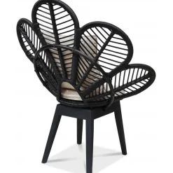 Fåtölj svart/rotting - Peacock + Fläckborttagare för möbler