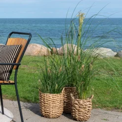 Hue krukaor - Sjögräs