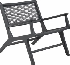 Linnea fåtölj - Svart/rotting + Textilrengöring för möbler