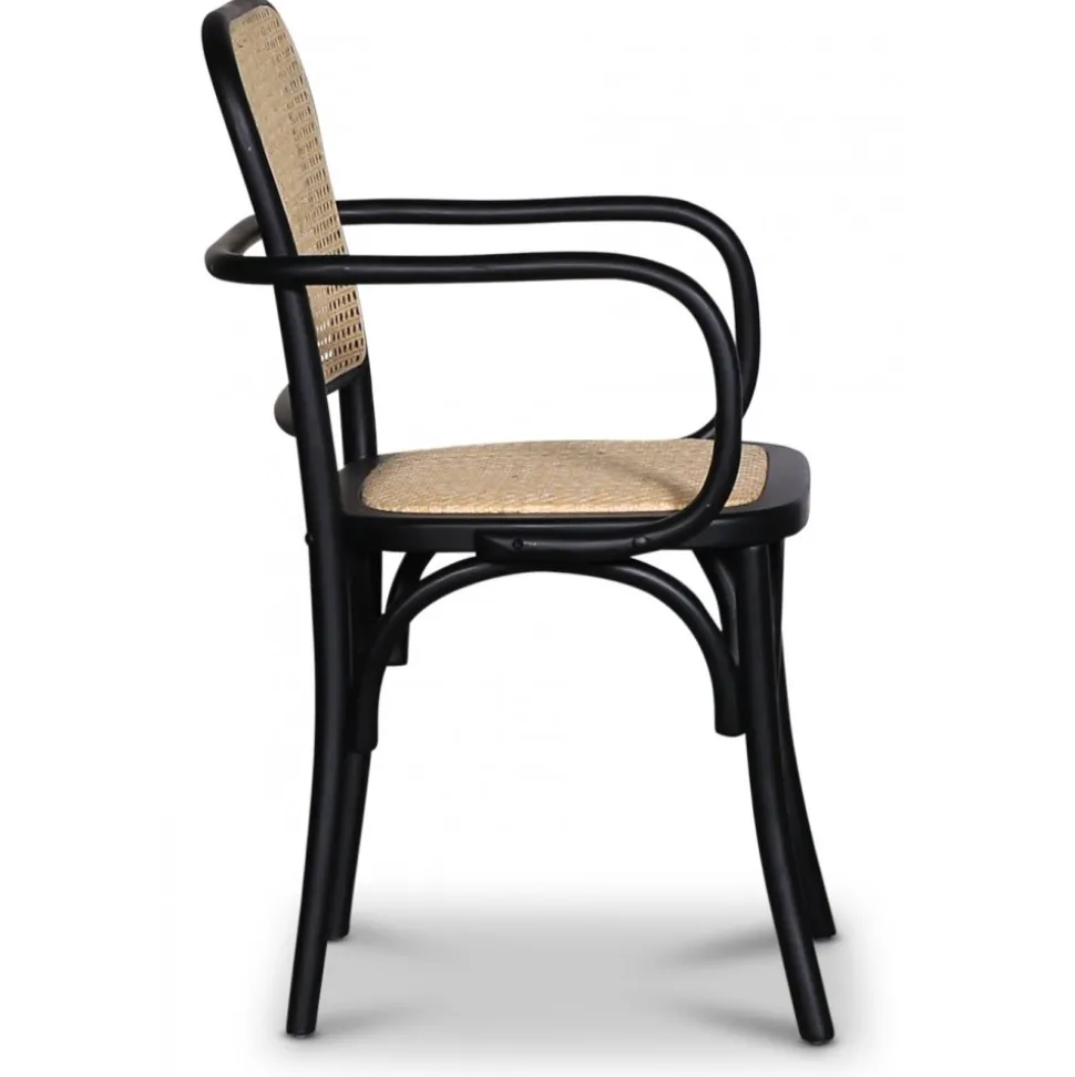 Malmby karmstol böjträ svart/rotting + Fläckborttagare för möbler