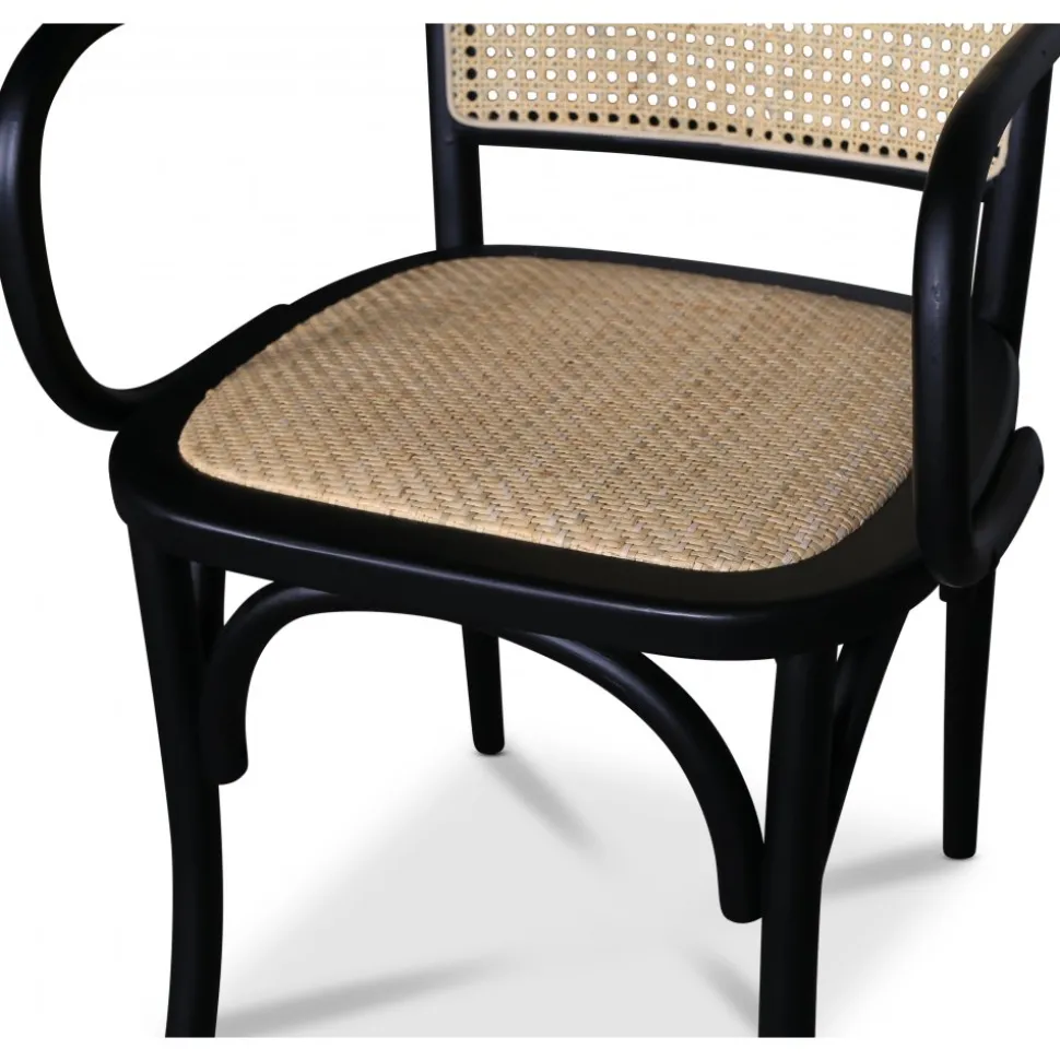 Malmby karmstol böjträ svart/rotting + Fläckborttagare för möbler