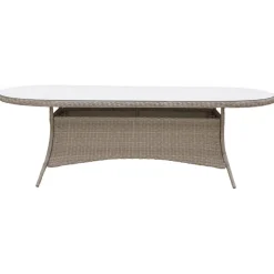 Matgrupp med 6 stolar och matbord 180 x 100 cm rotting - Menton/Mercury