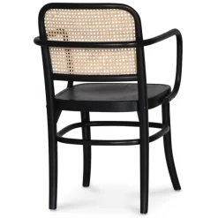 Nemis karmstol böjträ - Svart/rotting + Fläckborttagare för möbler