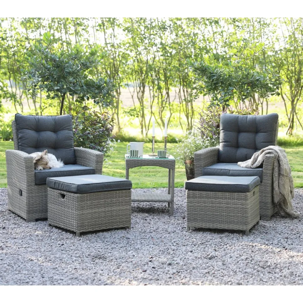 Orlando Set - Stolar + Rengöringsmedel för utemöbler