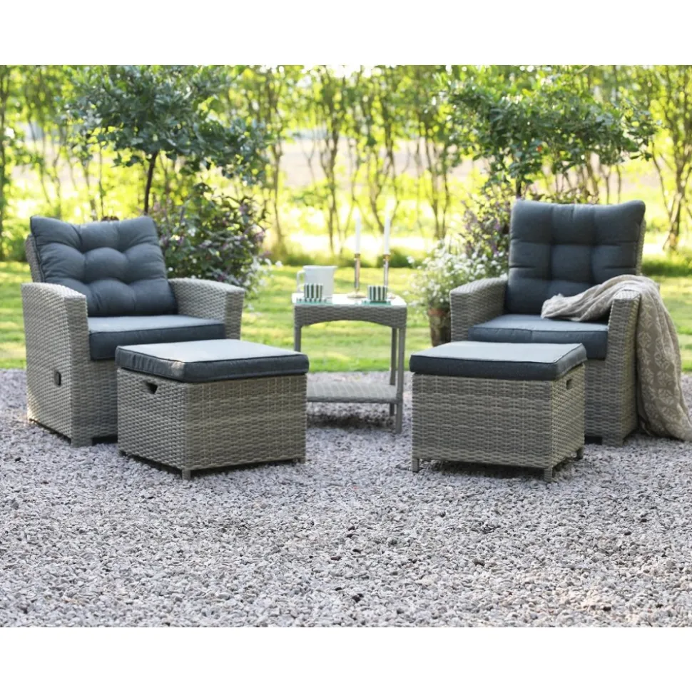 Orlando Set - Stolar + Rengöringsmedel för utemöbler