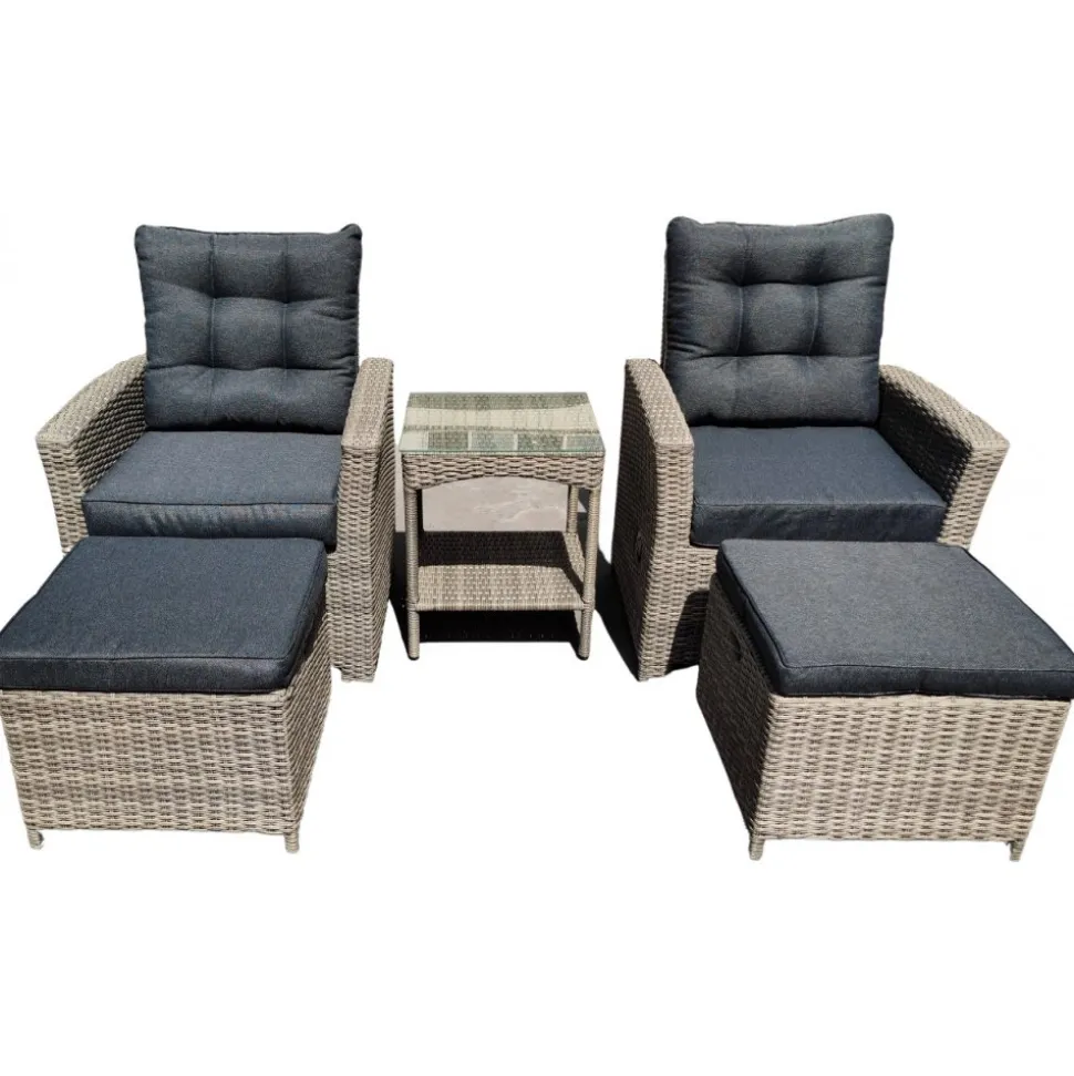 Orlando Set - Stolar + Rengöringsmedel för utemöbler