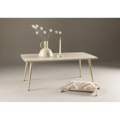 Plaza soffbord 70 x 120 cm - Whitewash