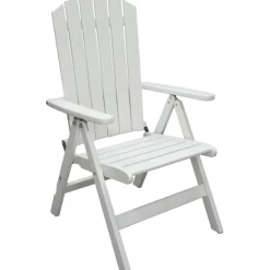 Positionsstol Kungshamn - Vit + Textilrengöring för möbler