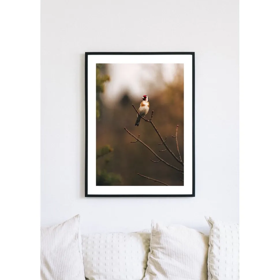 Posterworld - Motiv Bird - 70 x 100 cm