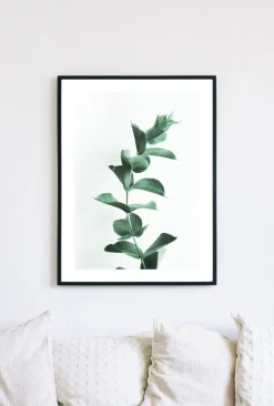 Posterworld - Motiv Eucalyptus - 50x70 cm