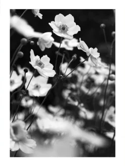 Posterworld - Motiv Lilly - 70 x 100 cm