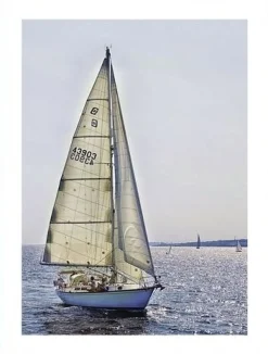 Posterworld - Motiv Sailing - 70x100 cm