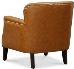 Skinnfåtölj brun - Ambassadör Professor + Fläckborttagare för möbler