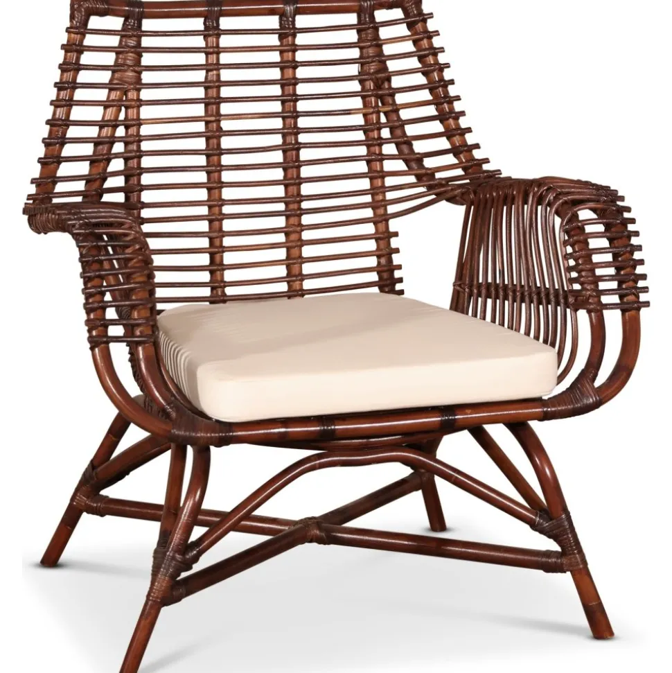 Tibble fåtölj i rotting - Valnöt + Fläckborttagare för möbler