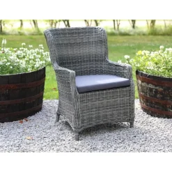 Utefåtölj grå med dyna - Jacksonville + Fläckborttagare för möbler