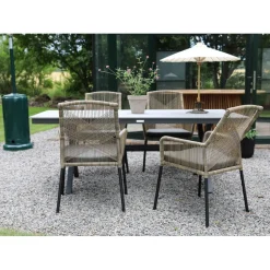 Utestol tvinnad rotting med grå dyna