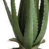 Verde konstväxt - Alovera