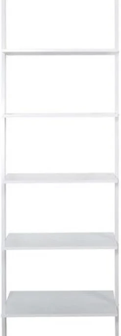 Writex steghylla - Vit